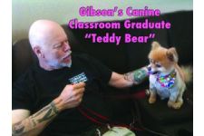 Logo for Gibson’s Canine Logo for Gibson’s Canine