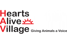 Logo for Hearts Alive Village Cat Cafe Logo for Hearts Alive Village Cat Cafe