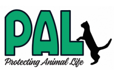 Logo for PALNV’s Rescued Treasures Cat Cafe Logo for PALNV’s Rescued Treasures Cat Cafe