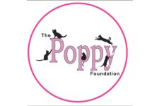 Logo for The Poppy Foundation Logo for The Poppy Foundation