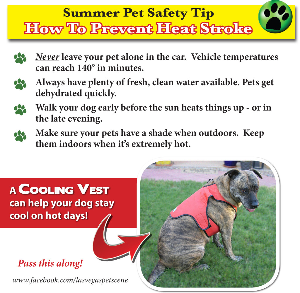 Prevent Heat stroke
