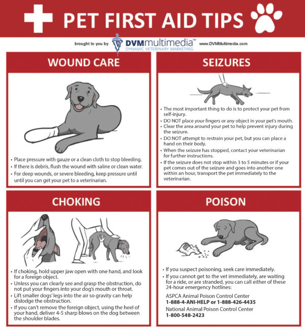 Pet First Aid Awareness Month |