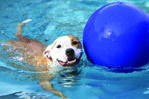 Swimming with ball