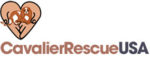 Cavalier Rescue USA