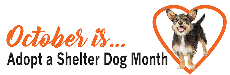Adopt a Shelter Dog Month |