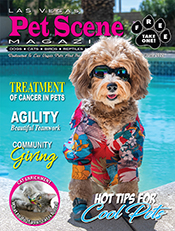 View May/June Edition