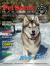 View January/February Edition