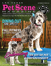 View September/October Edition