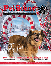 View November/December Edition