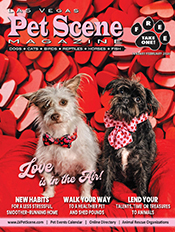 View January/February Edition