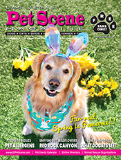 View March/April Edition