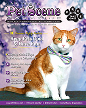 View May/June Edition
