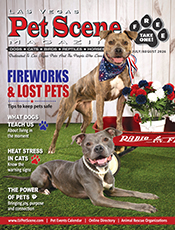 View July/August Edition