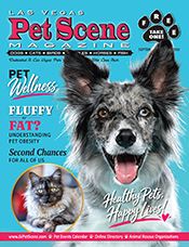 View the September/October Edition