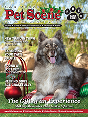 View the November/December Edition